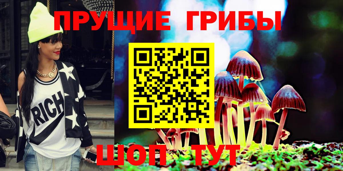 купить закладку  Псилоцибиновые грибы ЛСД  Абинск  Вход с VPN  Галлюциногенные грибы Psilocybine cubensis 