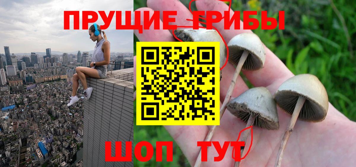 Псилоцибиновые грибы ЛСД Абинск